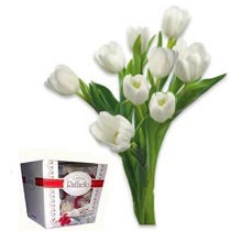 Symbol of Spring + Raffaello